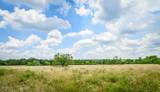 000 County Road 447 - Photo 25