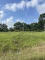3634 Nita Street - Photo 2