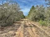 19.88 acres Friar Road - Photo 7