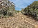 19.88 acres Friar Road - Photo 8