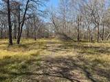 15530 Tierra Grande Drive - Photo 4