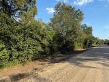 15530 Tierra Grande Drive - Photo 5