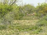 Lot 15 Pr Frio Estates Drive - Photo 4