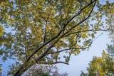 00 Cr 3291 - Photo 16