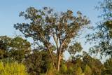 00 Cr 3291 - Photo 19