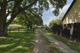 17514 Queenslake Drive - Photo 41