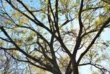 628 Austin Street - Photo 2