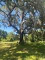 663 Pony Trail - Photo 3