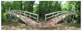 663 Pony Trail - Photo 6
