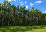 12856 Oak Barrel Road - Photo 4
