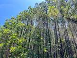 8 Bayou Road - Photo 1