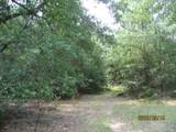 30081 Round Up Drive - Photo 13