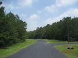 30081 Round Up Drive - Photo 19