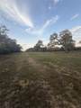 1743 Zimmerscheidt Road - Photo 4