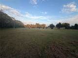 1743 Zimmerscheidt Road - Photo 7