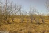 TR 1 000 Us Hwy 85 Street - Photo 8