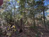 TBD Hunters Trail - Photo 8