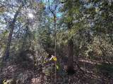 TBD Hunters Trail - Photo 9