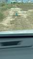 000 Shore Street Street - Photo 4