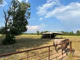 TBD Hwy 105 County Road 2266 - Photo 5