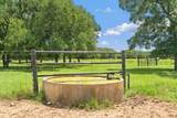 TBD (Tracts 11 & 12) St Delight Road - Photo 13