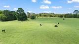 TBD (Tracts 11 & 12) St Delight Road - Photo 32