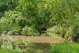 TBD (Tracts 11 & 12) St Delight Road - Photo 35