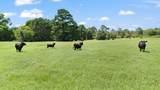 TBD (Tracts 11 & 12) St Delight Road - Photo 7