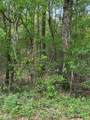 0 Friar Tuck Drive - Photo 3