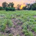 TBD County Road 2060 - Photo 5