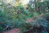 40 Acres Fcr 930 - Photo 15