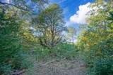 40 Acres Fcr 930 - Photo 8