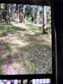 21319 Petty Drive - Photo 3