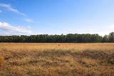 TBD Clearlake Lane - Photo 1