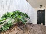2243 Alabama Street - Photo 2