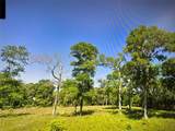 969 County Road 525 - Photo 10