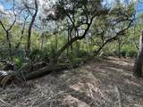 Tract 2 County Road 332 - Photo 4