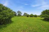 Tract 4 Holly Road - Photo 6
