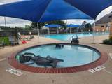 17123 Pecan Acres Drive - Photo 8