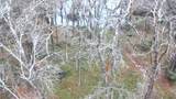 TBD Lake Dr W - Photo 19