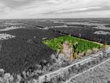 12155 State Highway 146 - Photo 9