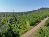 010 Carters Ferry Road - Photo 8