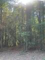 TBD Tall - Photo 16
