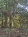 TBD Tall - Photo 4