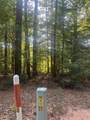 TBD Tall - Photo 8