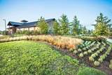 30634 Indigo Falls Drive - Photo 43