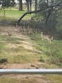 1801 Fm 1383 - Photo 2