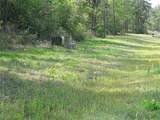 10774 Ruger Road - Photo 3