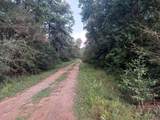 24140 Grand Pines Road - Photo 12
