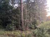 24140 Grand Pines Road - Photo 13